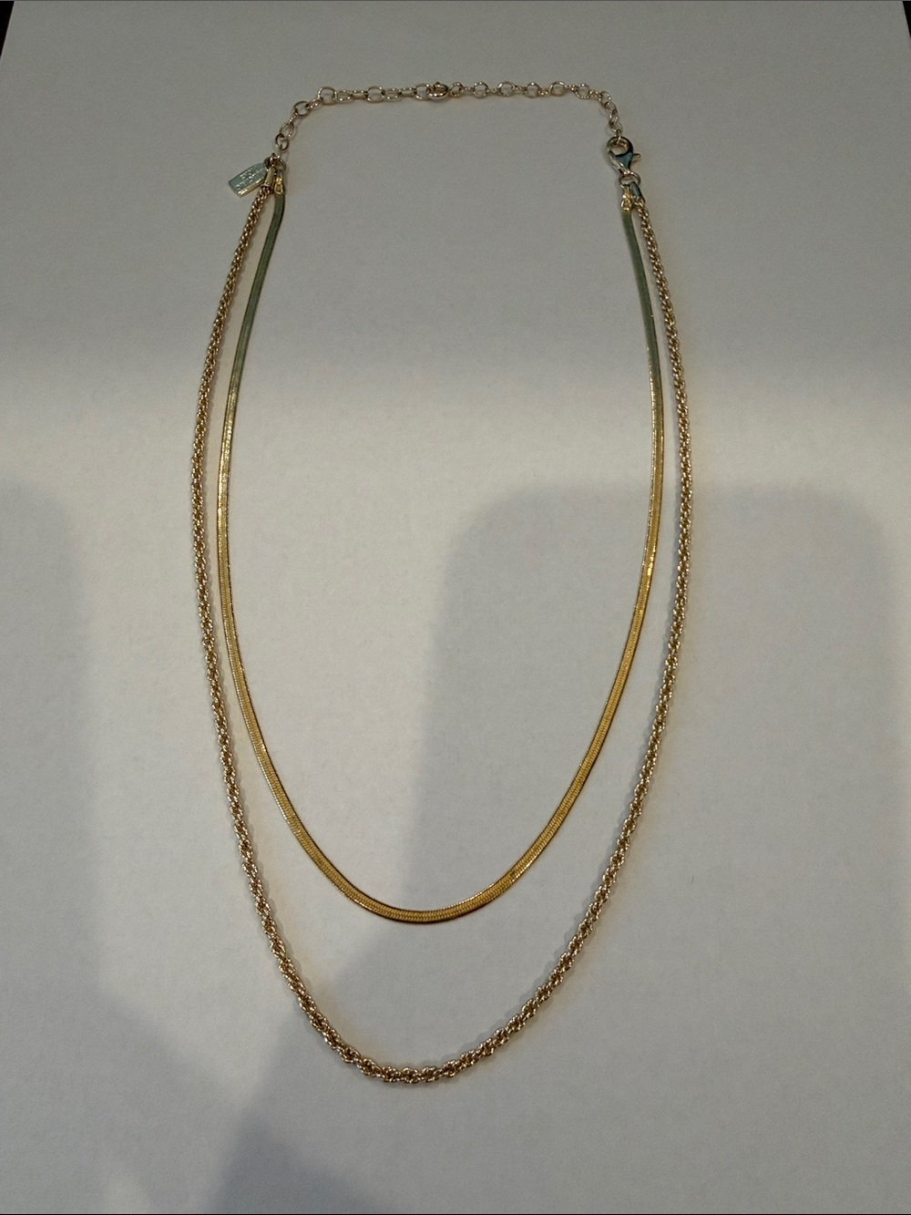 Electric Picks Twice as Nice Necklace
